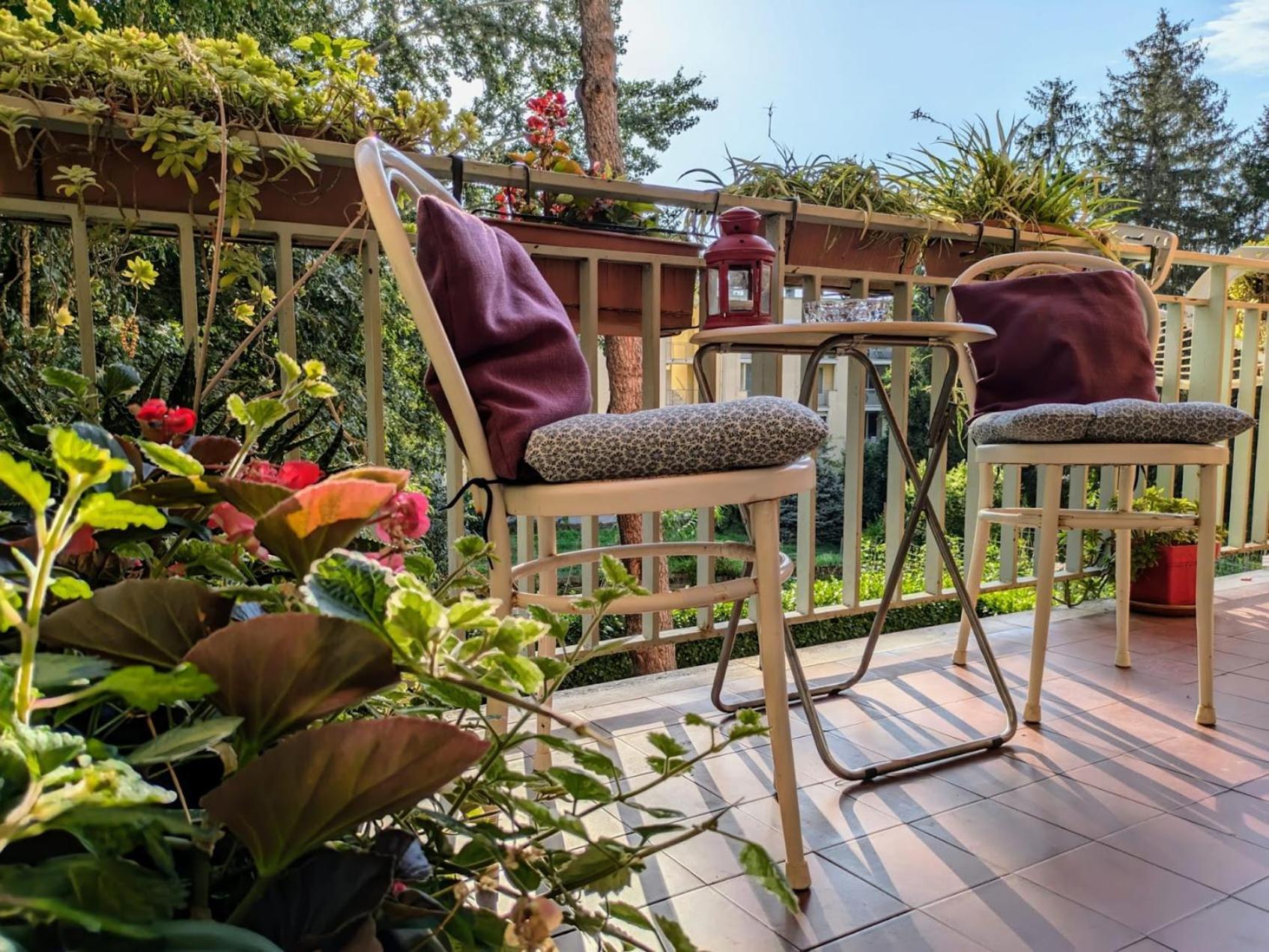 Appartamento Viale Puccini - Free Gated Parking - 3 Minutes From Center Lucca Exterior foto