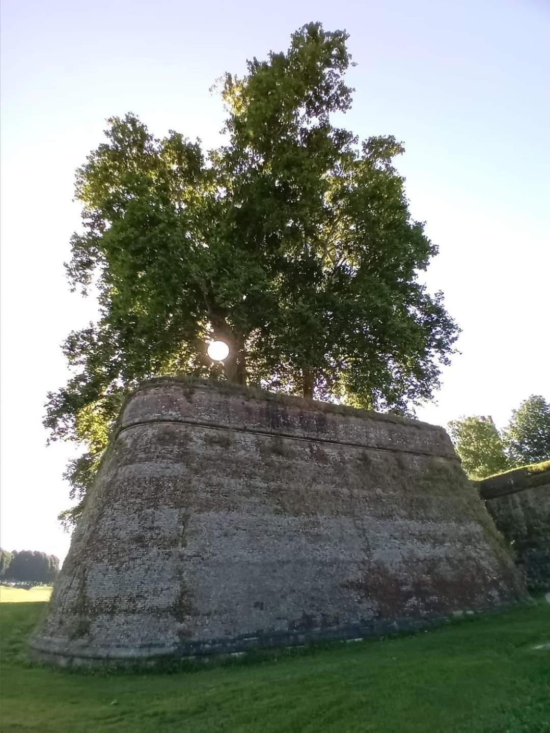 Appartamento Viale Puccini - Free Gated Parking - 3 Minutes From Center Lucca Exterior foto